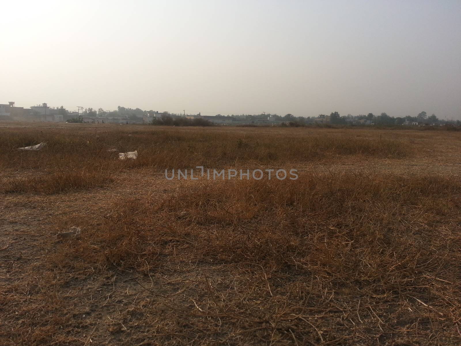 Arid brown grassland view of a rural land in hot weather on sunny day by Photochowk