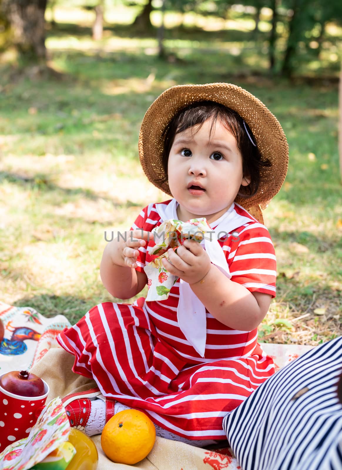 Cute little baby in a red dress and srtaw hat on a picnic in the park by Desperada