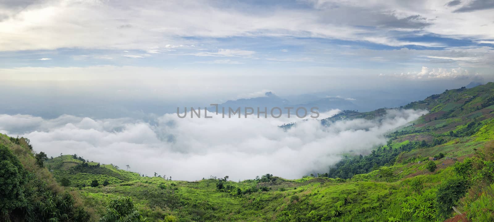 Phu Thap Boek sea of fog In Phetchabun, Thailand by Surasak