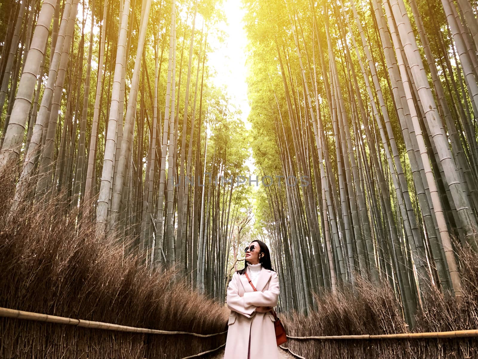  Asian woman traveling at Bamboo Forest in Kyoto, Japan. 