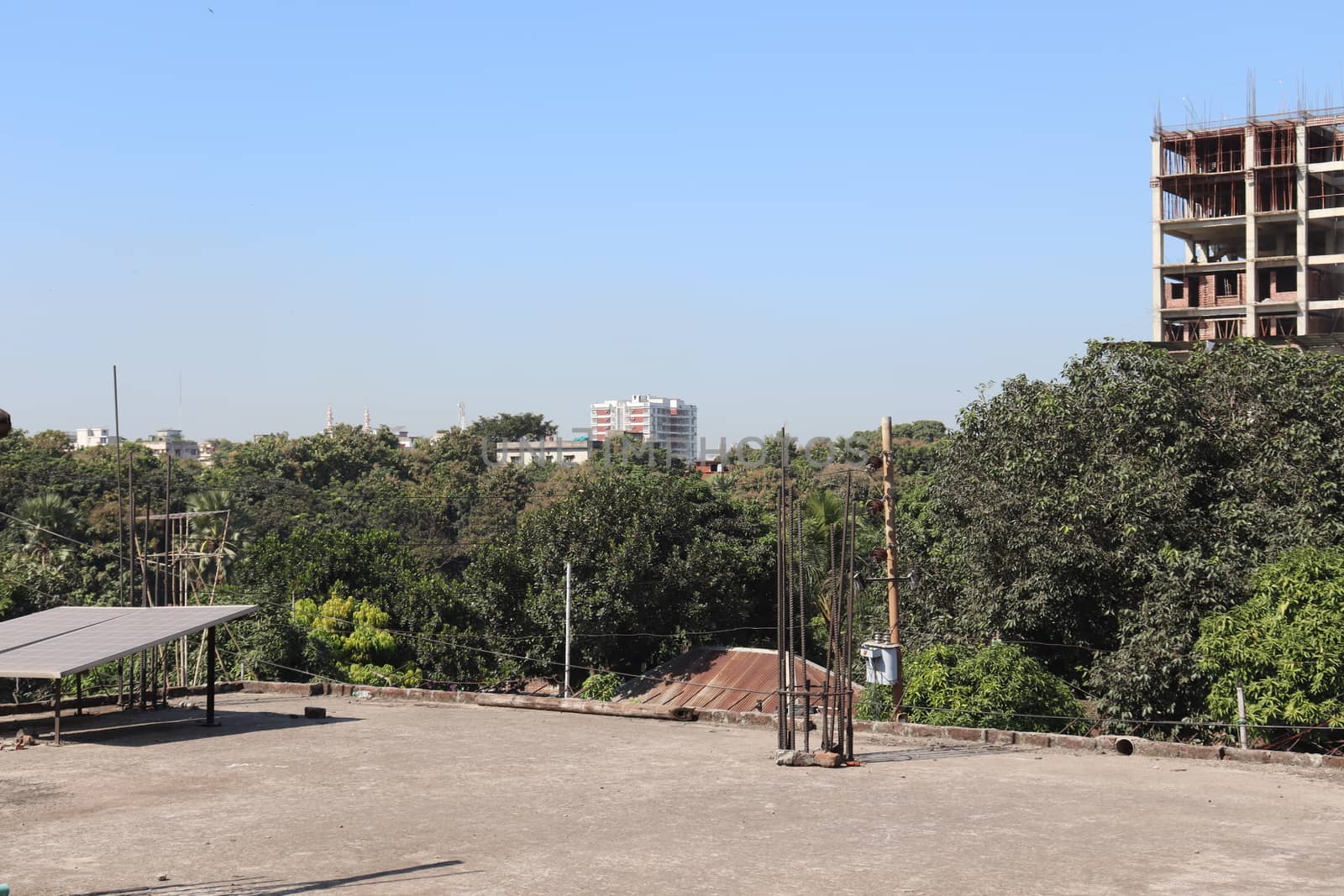 natural forest and sky view on city