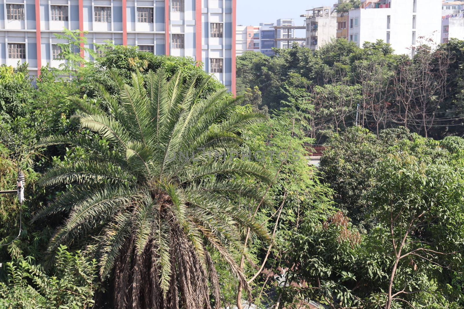 apartment building view for living on city