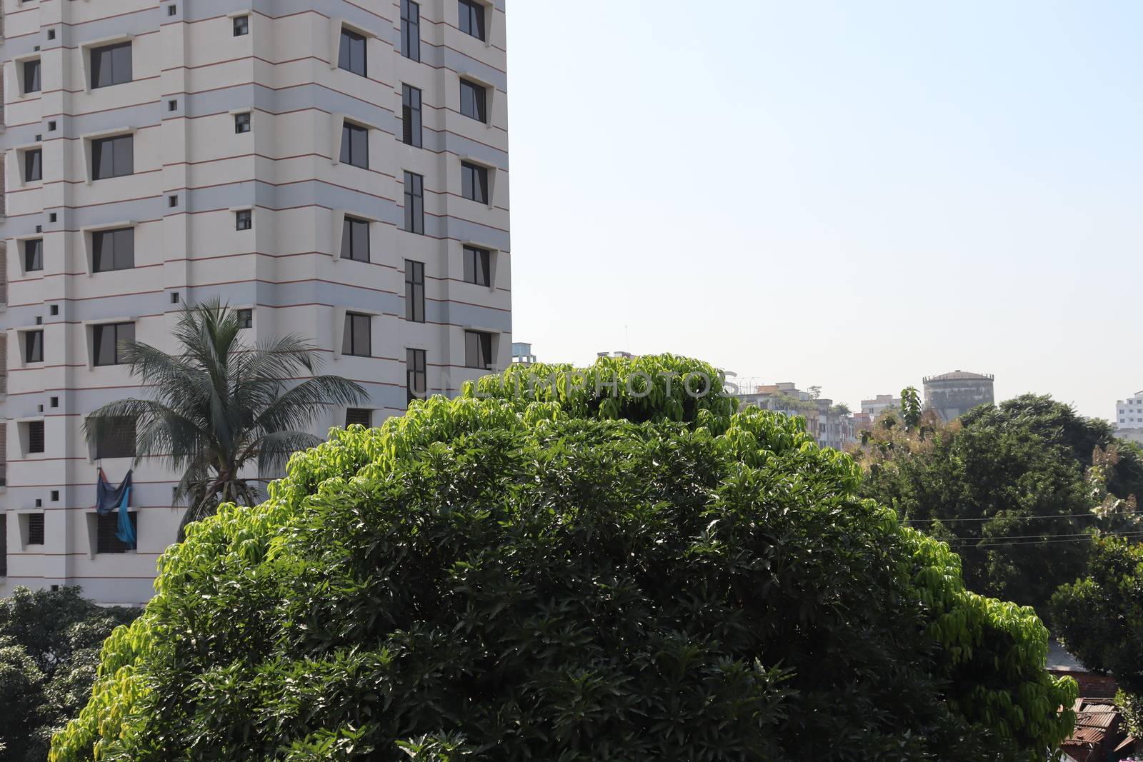 apartment building view for living on city