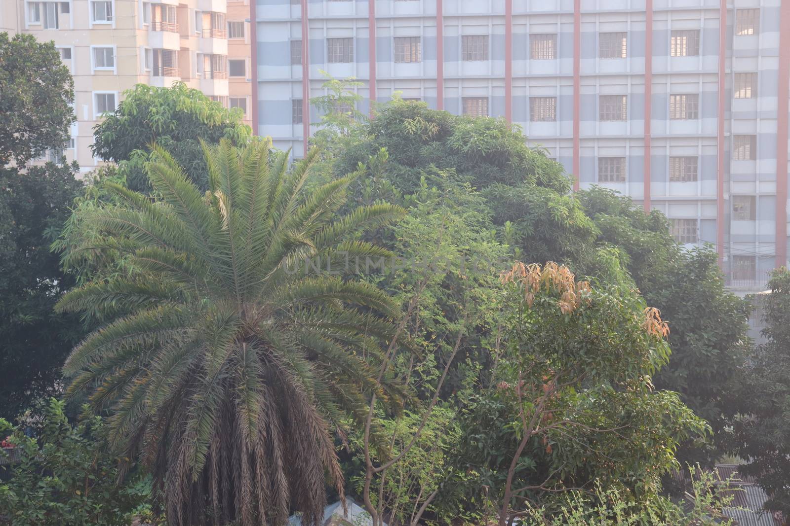 apartment building view for living on city