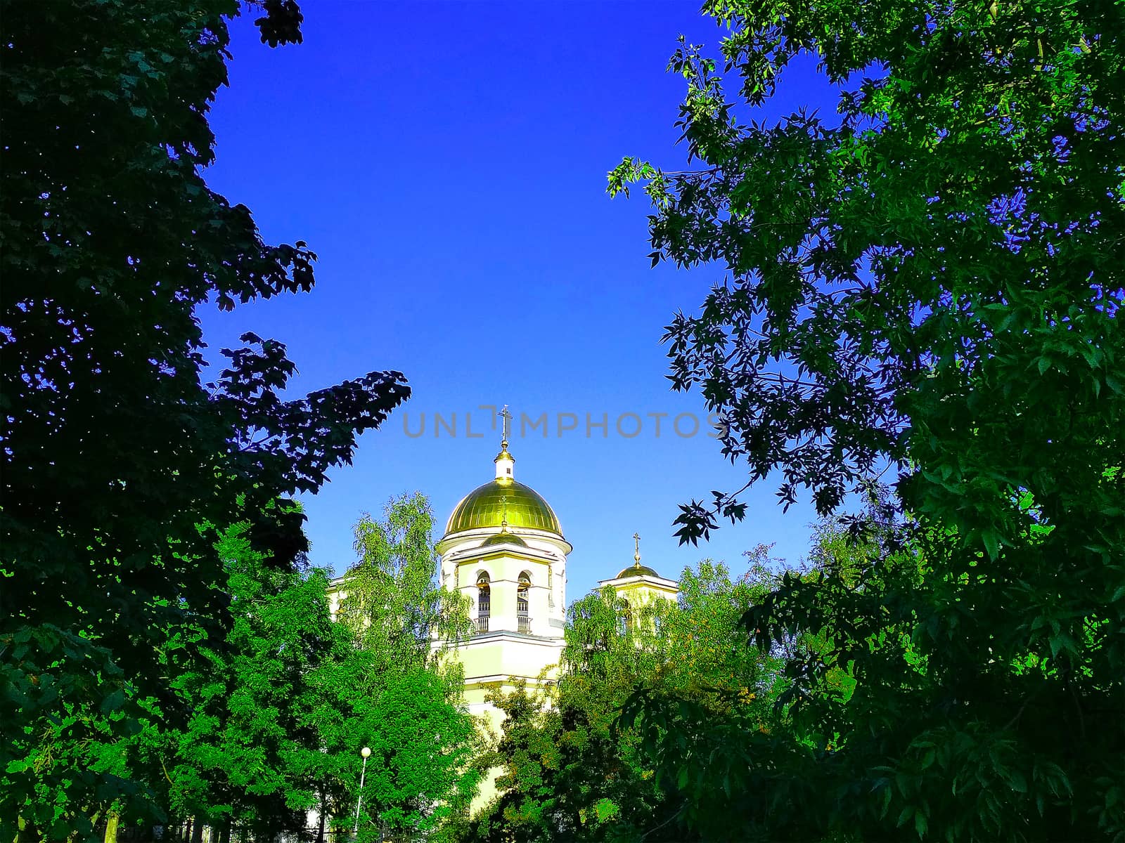 The ancient dome of the Church is located in the dense foliage between the trees.