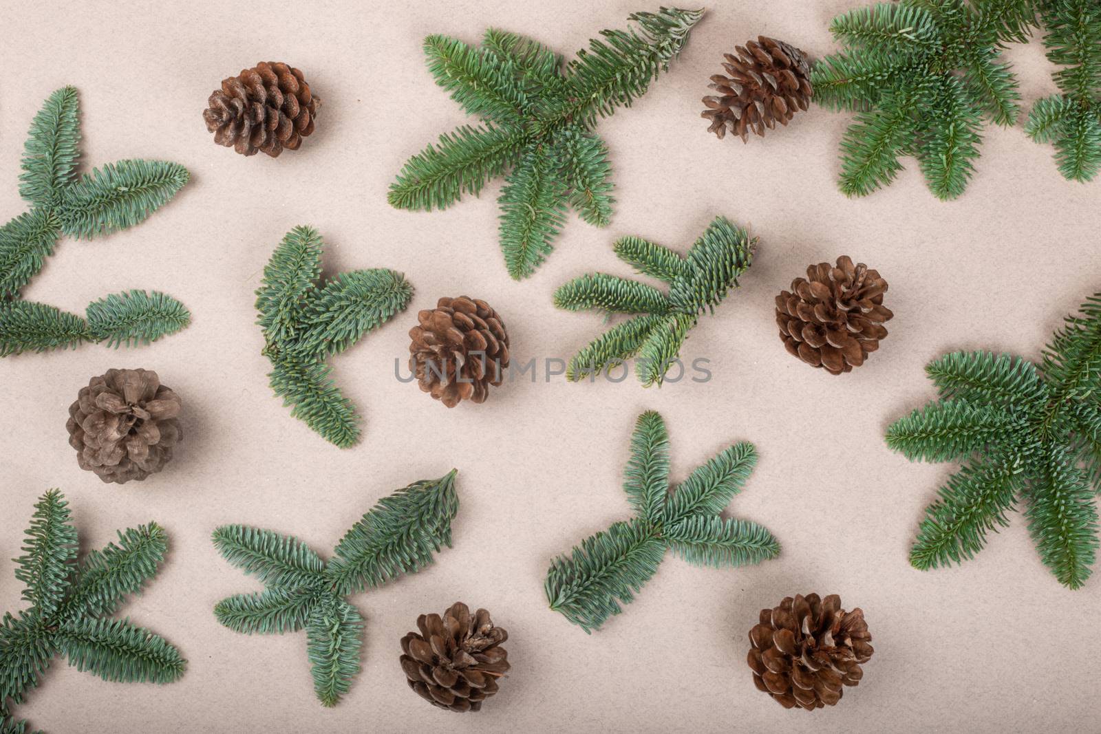 Christmas card light background with noble fir tree branches and pine cones