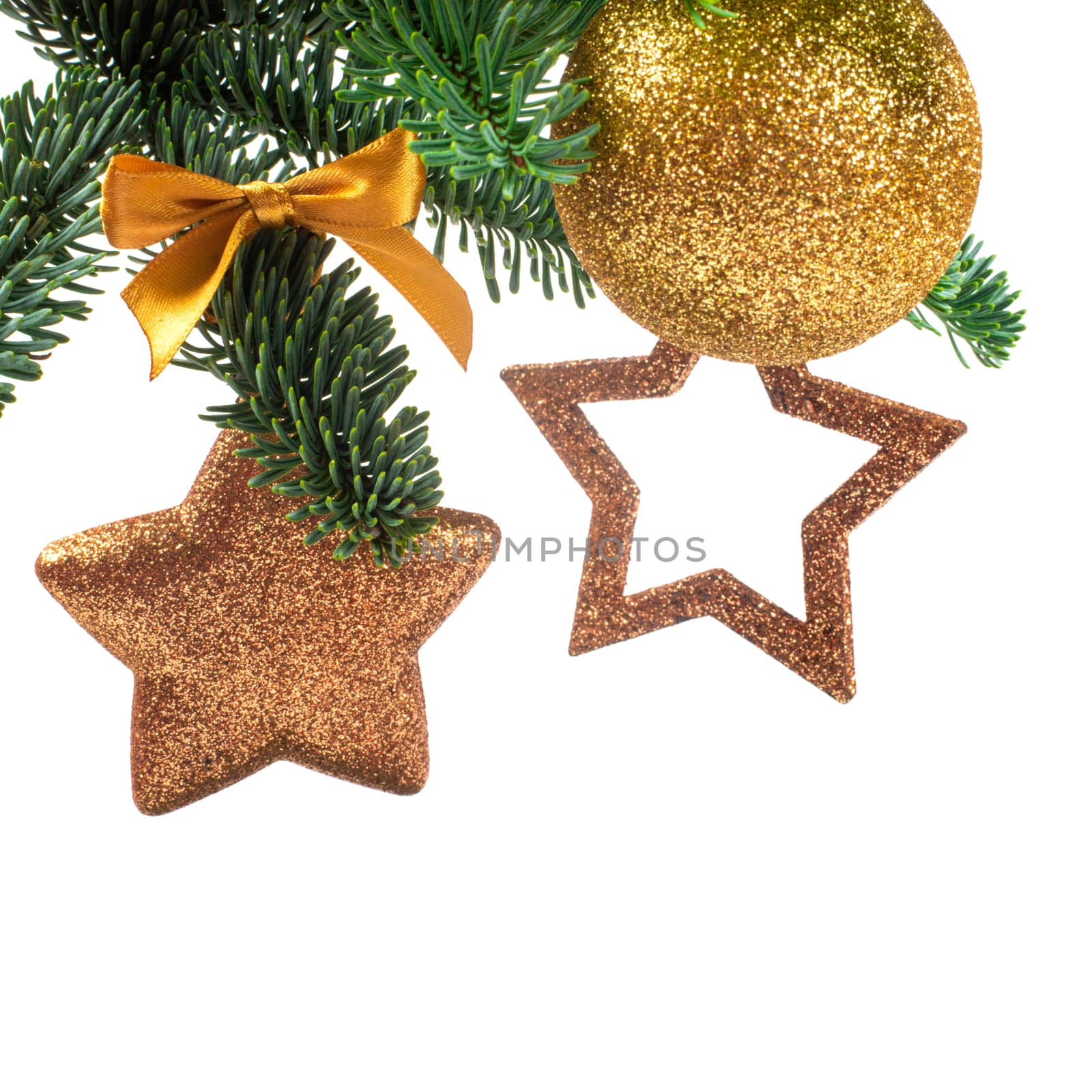 Christmas evergreen spruce noble fir tree and golden glitter glass bauble balls and stars isolated on white background