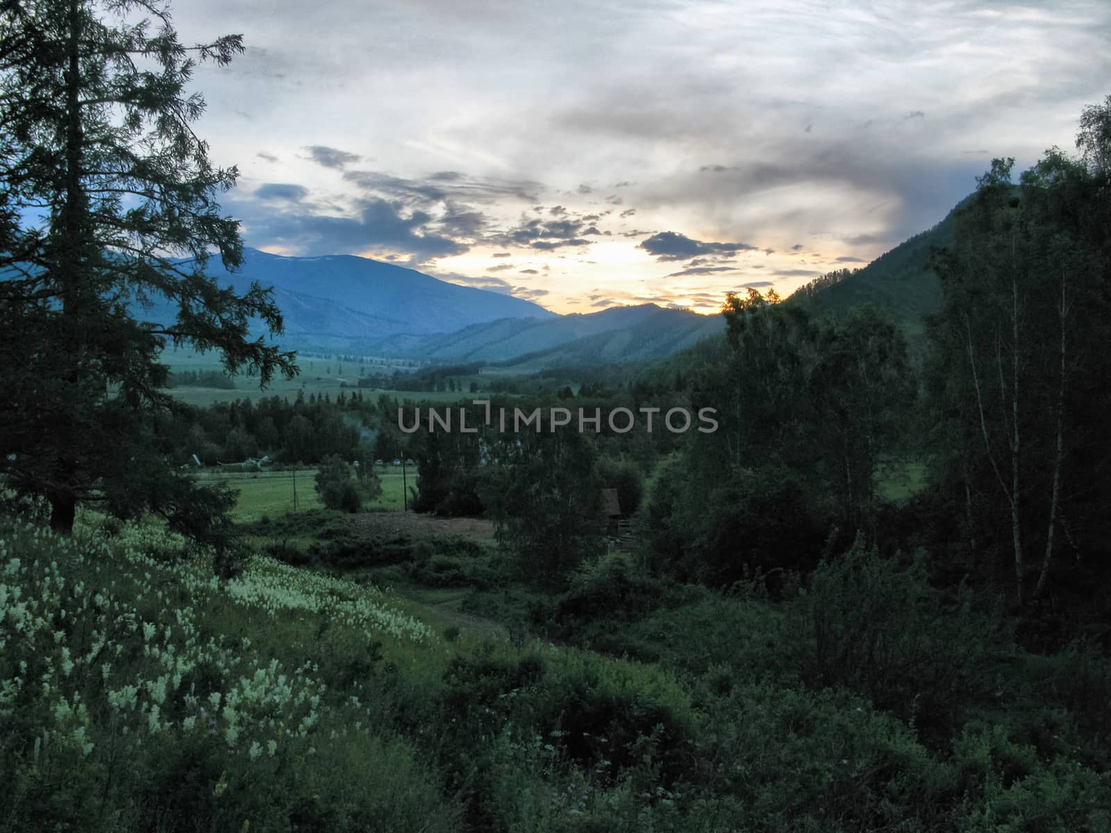 Nature is altai. Mountain landscape, forests and reservoirs of altai. by DePo