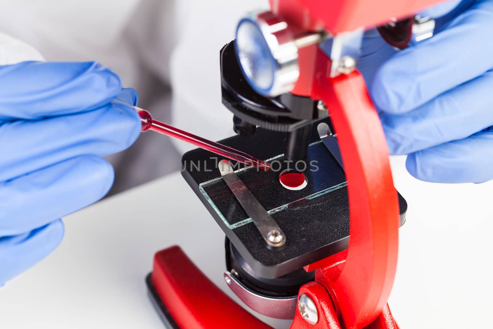 Lab scientist or medical technologist placing a drop of blood sample on a red microscope glass slide for examination and analysis, wearing blue protective latex gloves, COVID-19 virus disease pandemic