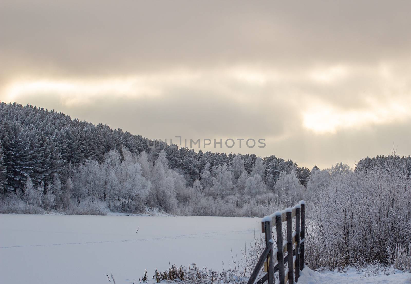 Wooden entrance to the forest near the frozen lake near the forest, all covered in snow. Dramatic sky with clouds over the winter forest and lake. Winter and frosty nature.