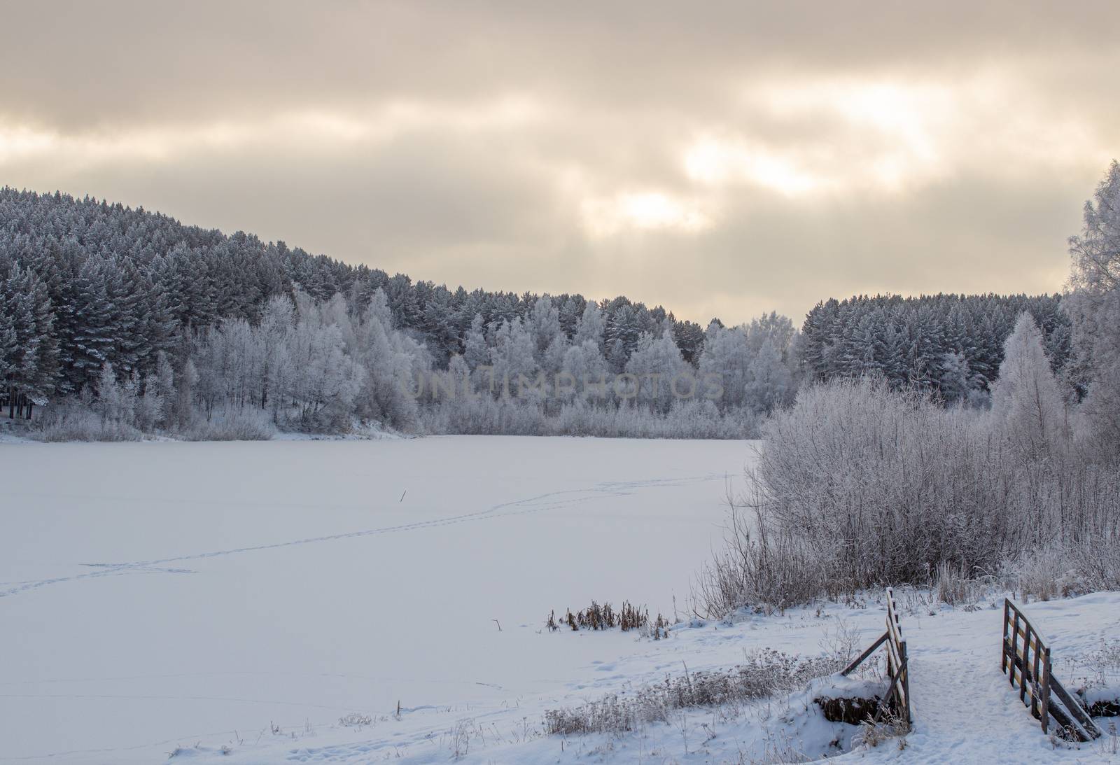 Wooden entrance to the forest near the frozen lake near the forest, all covered in snow. Dramatic sky with clouds over the winter forest and lake. Winter and frosty nature.