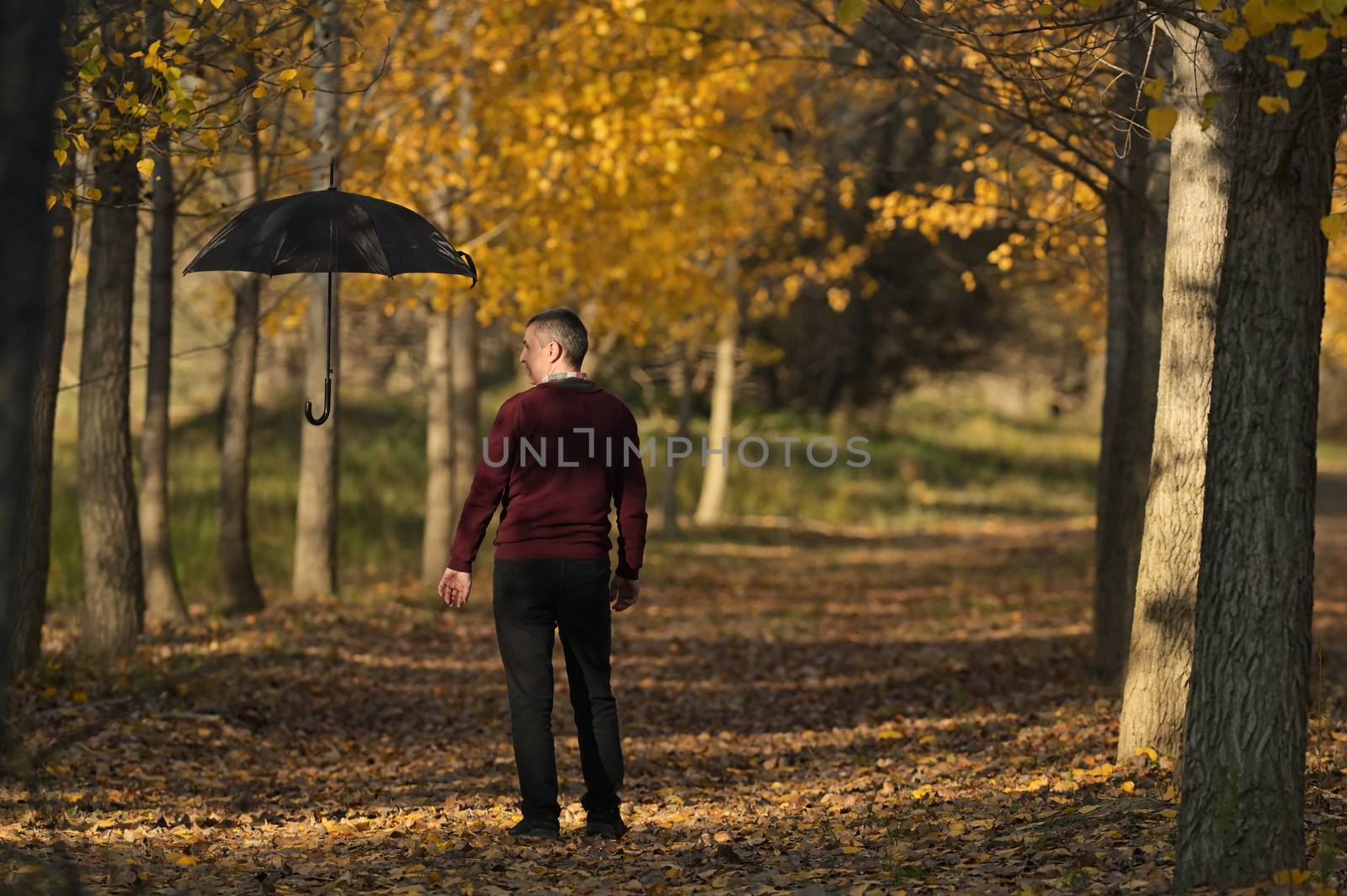 Love You Forever Couple in Autumn Forest by mady70