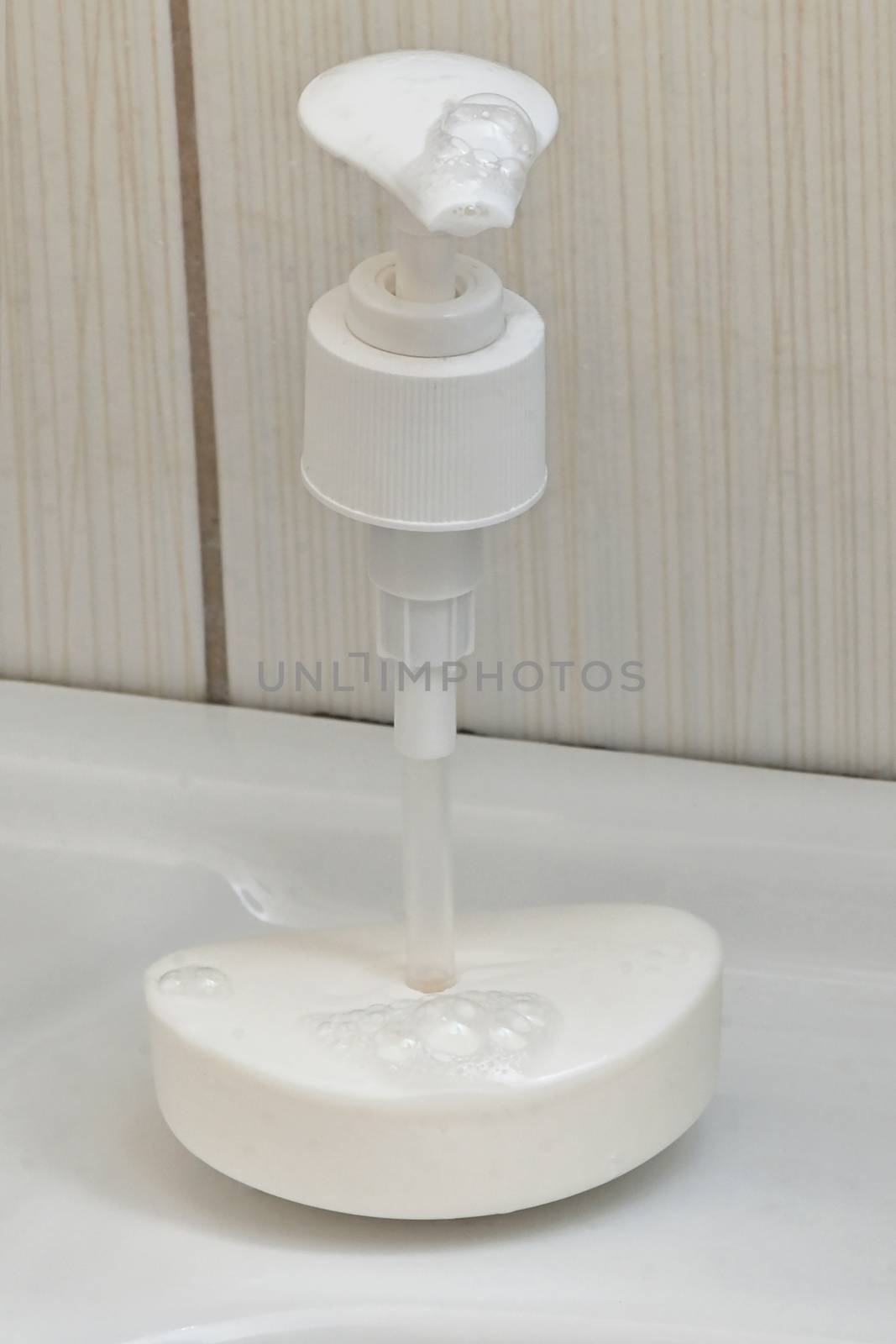 Soap Dispenser from Soap Bar by mady70