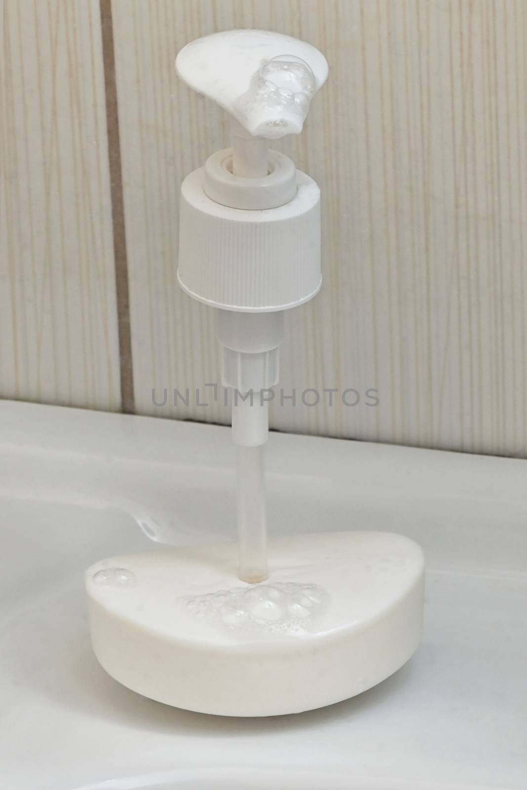 Conceptual Soap Dispenser from Soap Bar