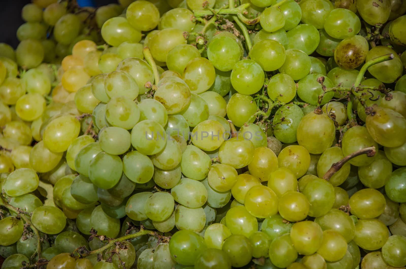 Background of green grapes with their stems