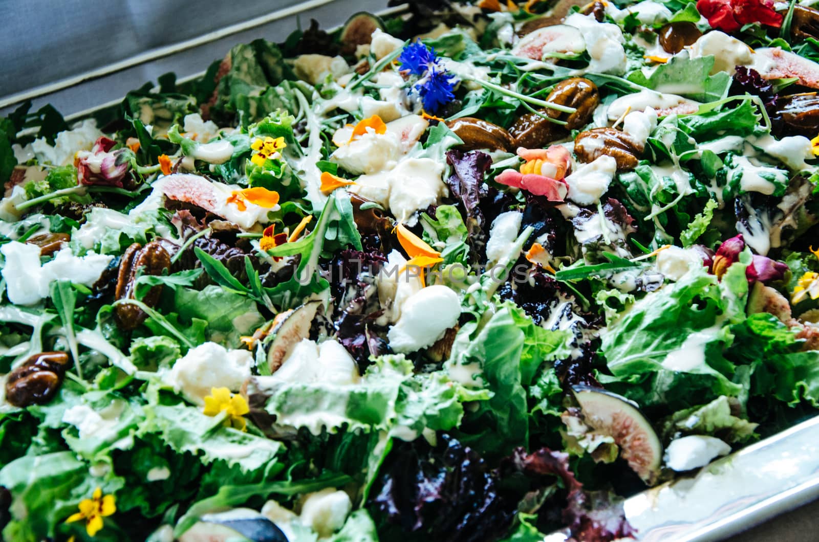 Fresh Peruvian green salad called Novelty salad with green leaves, goat cheese, figs, caramelized walnuts, dressing with balsamic