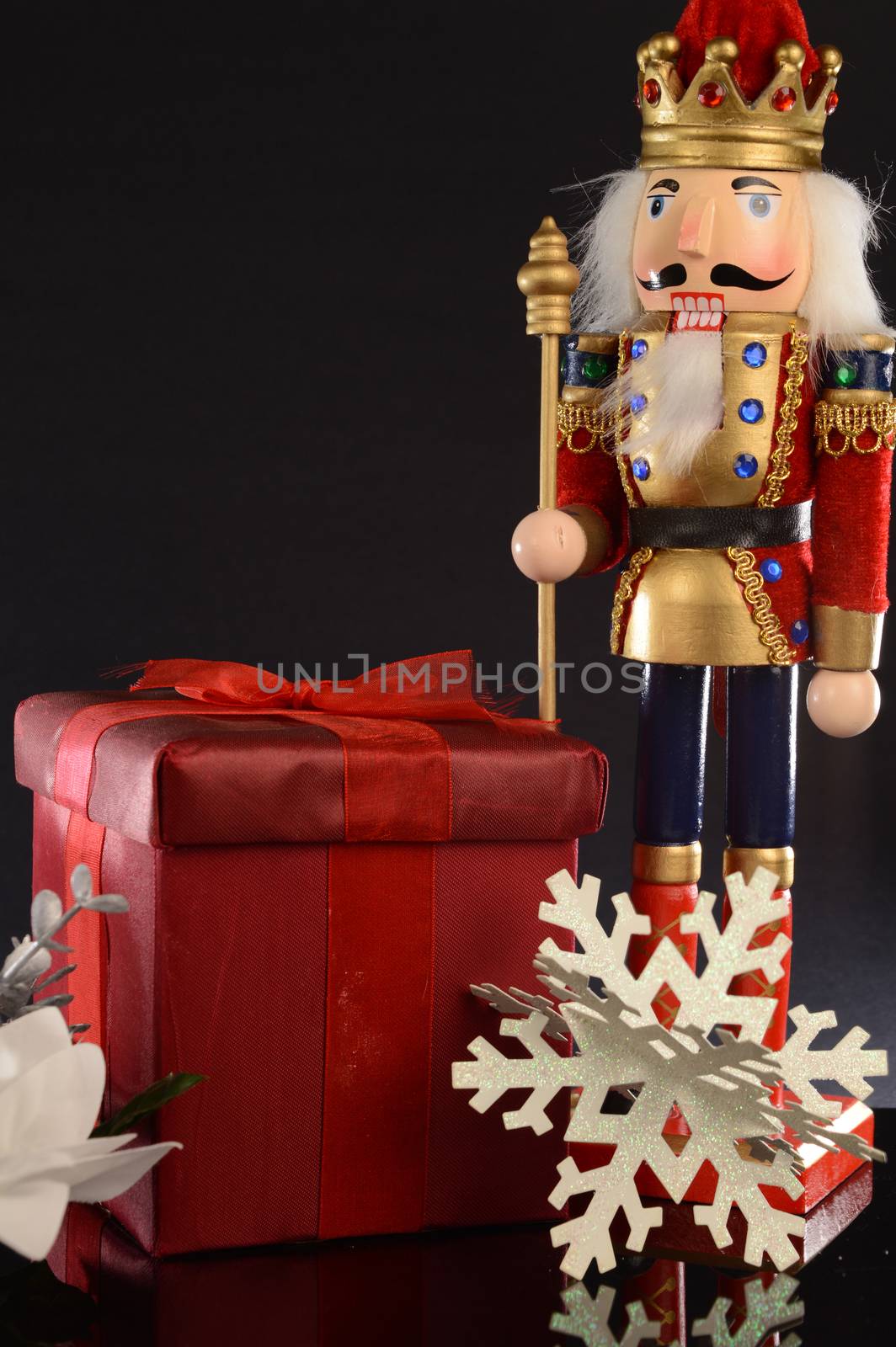 Christmas Gifting Nutcracker by AlphaBaby