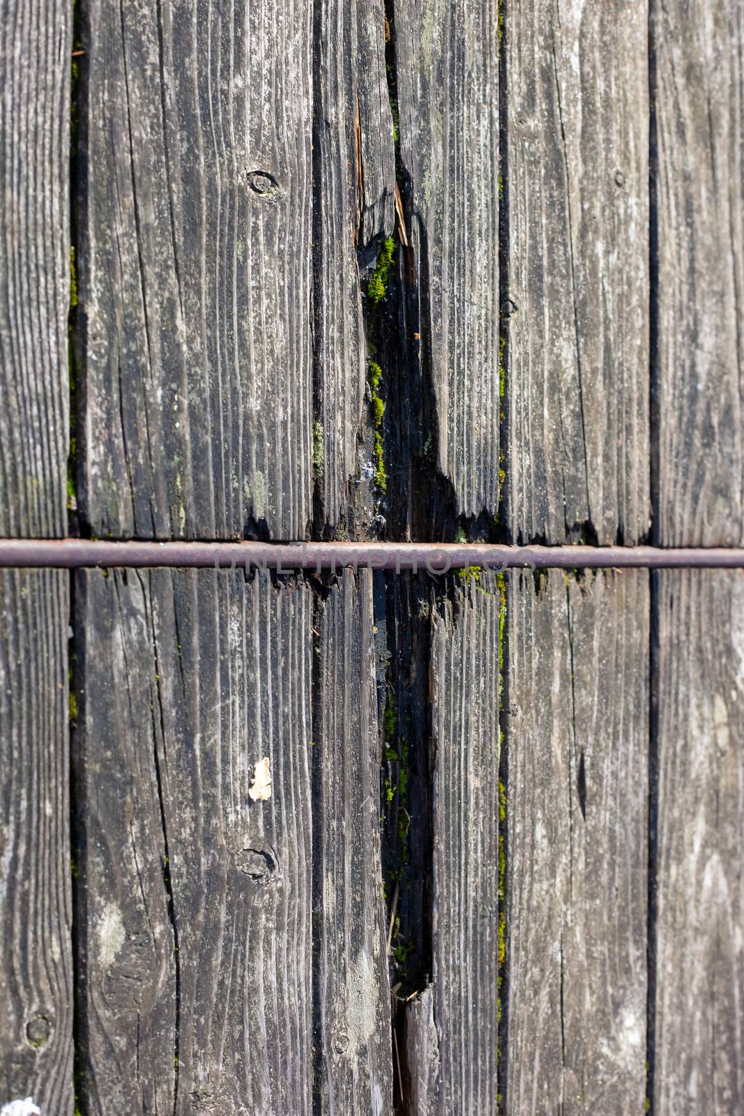 Detailed close up view on different wood surfaces showing planks logs and wooden doors in high resolution
