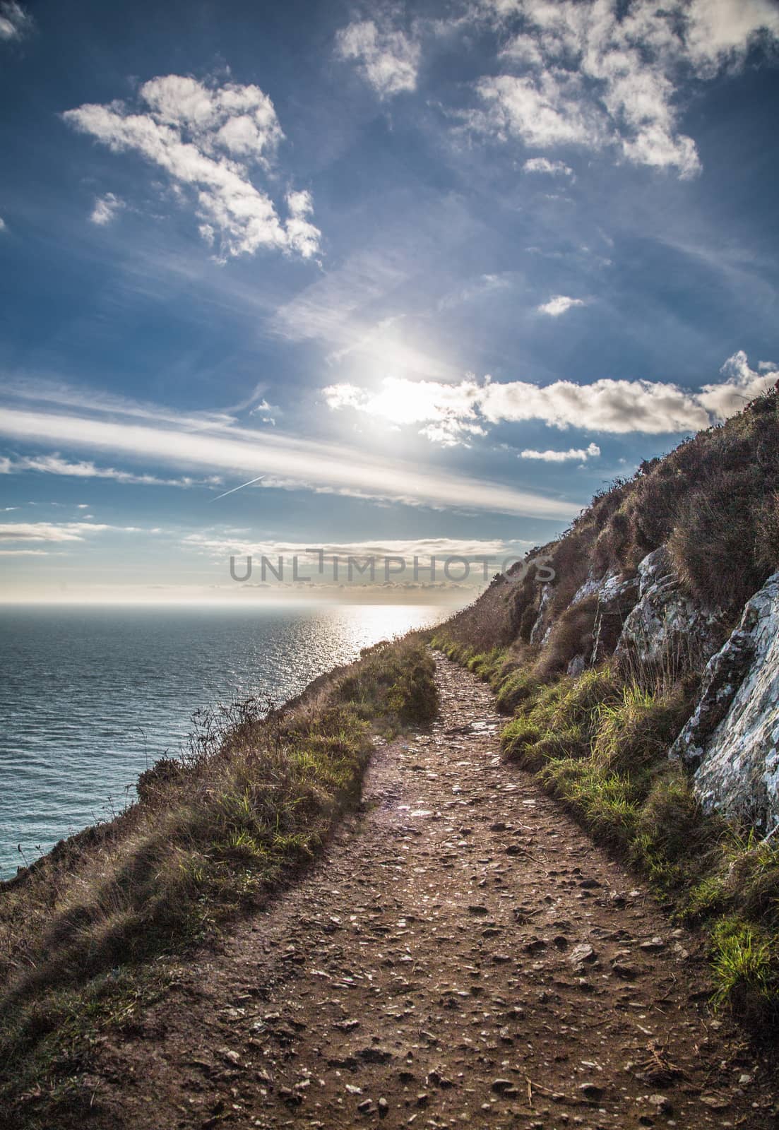 Ireland, coast and cliffs of howth path cliff walk