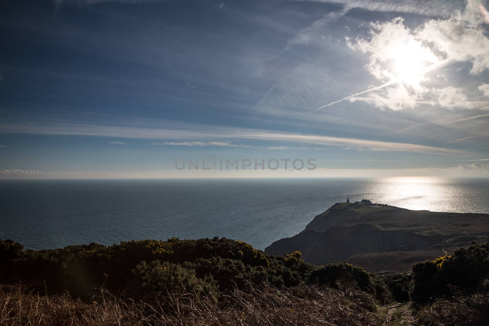 Ireland, coast and cliffs of howth path cliff walk by mlechanteur