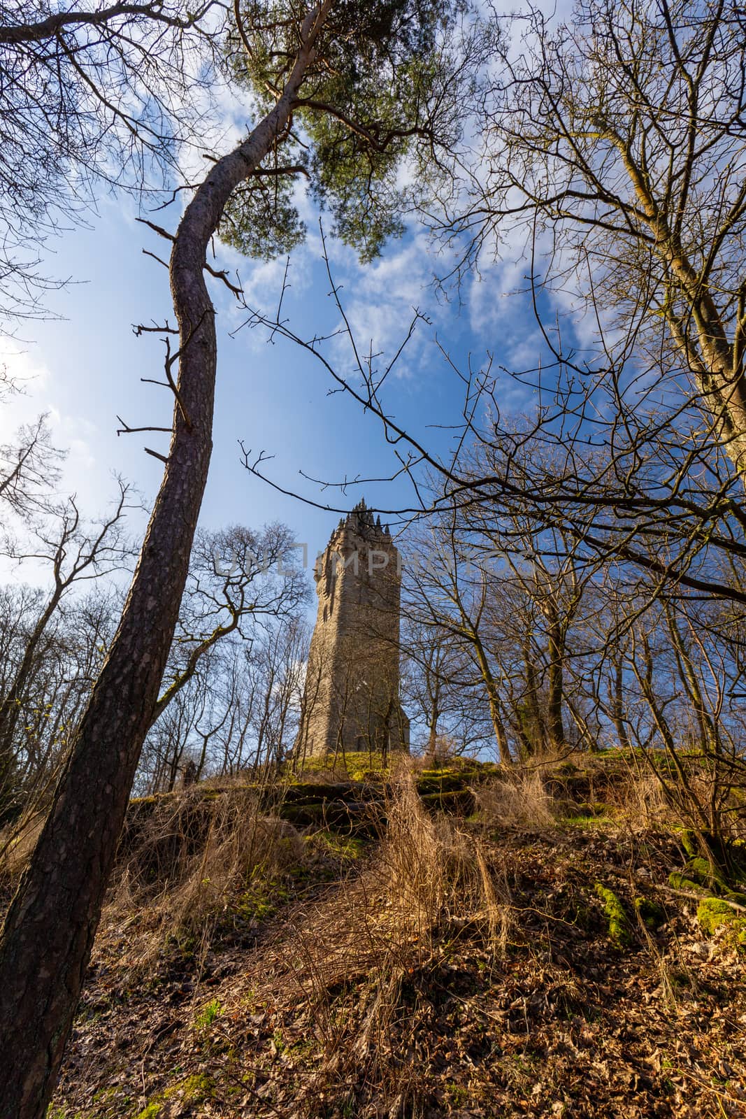 National wallace monument from low angle scotland by mlechanteur