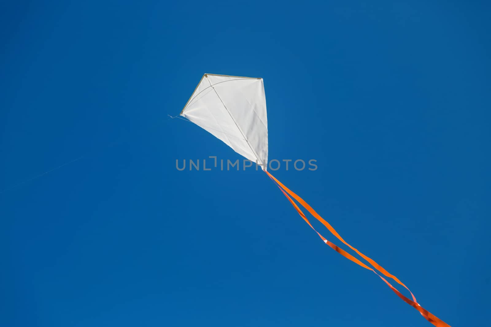 White red tailed kite flying against blue clear sky.