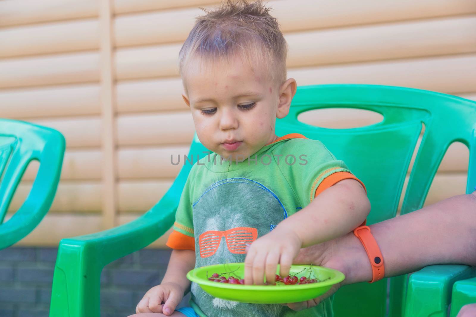 Grandma's hand holds a green plate with freshly picked red currants by galinasharapova