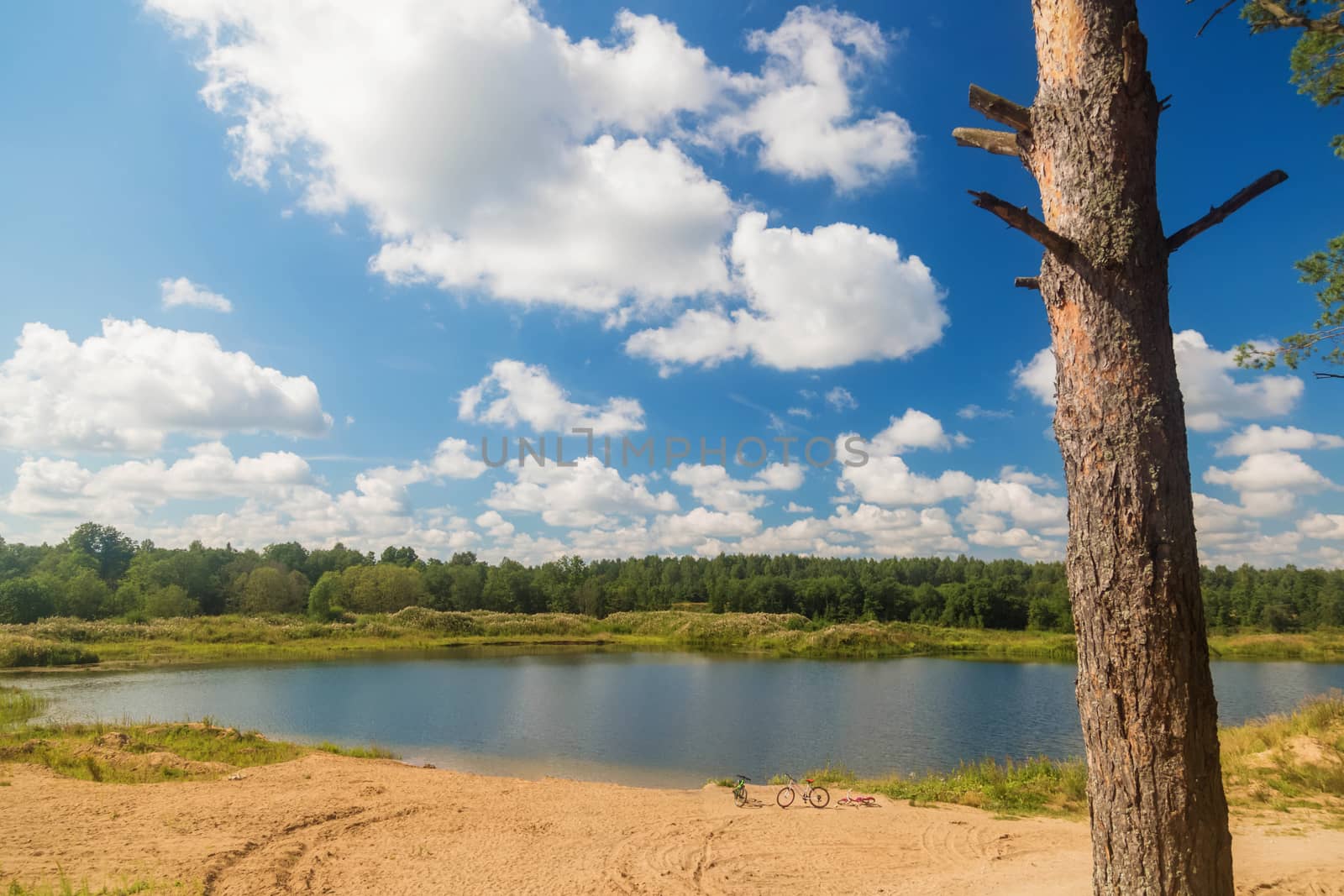 Beautiful landscape view of pine forest tree and lake against Blue Sky with clouds.