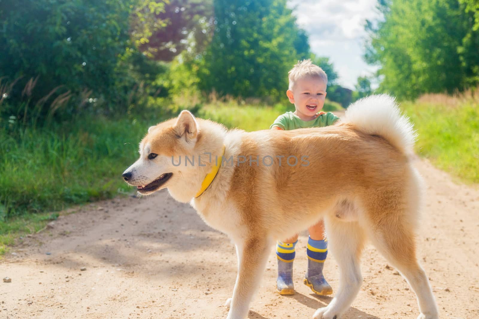 Little Boy and Akito Inu Dog on a Country Country Road