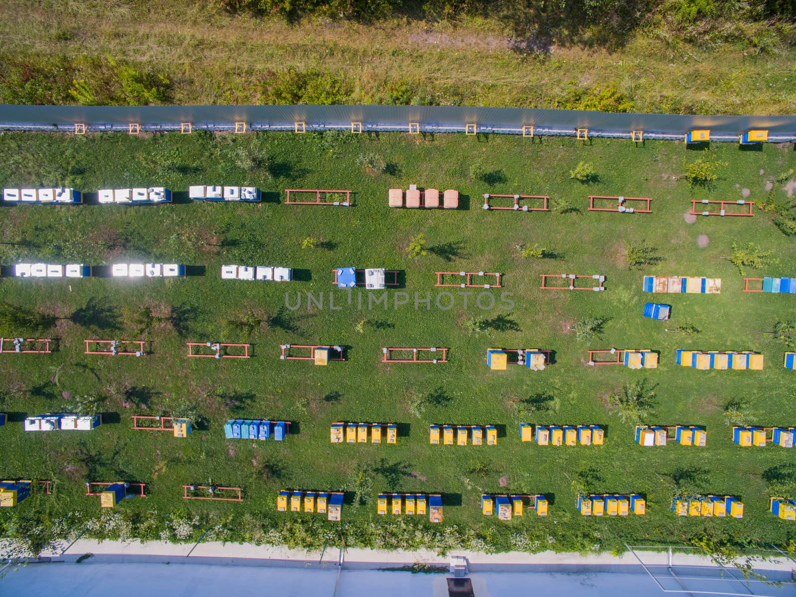 Aerial dron view of the Great Apiary. Many healthy families of honey bees. Industrial beekeeping.