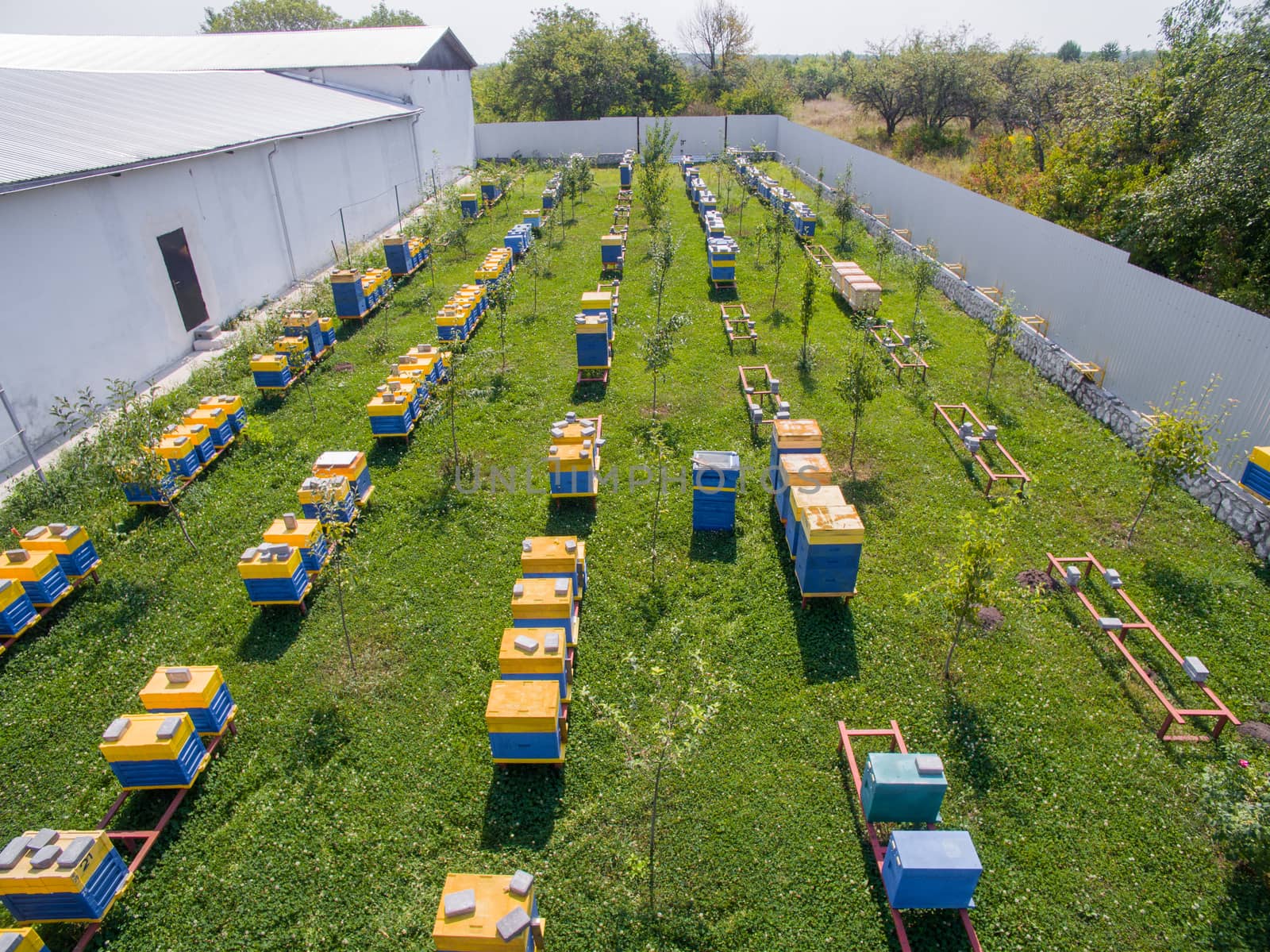 Aerial dron view of the Great Apiary. Many healthy families of honey bees. Industrial beekeeping.