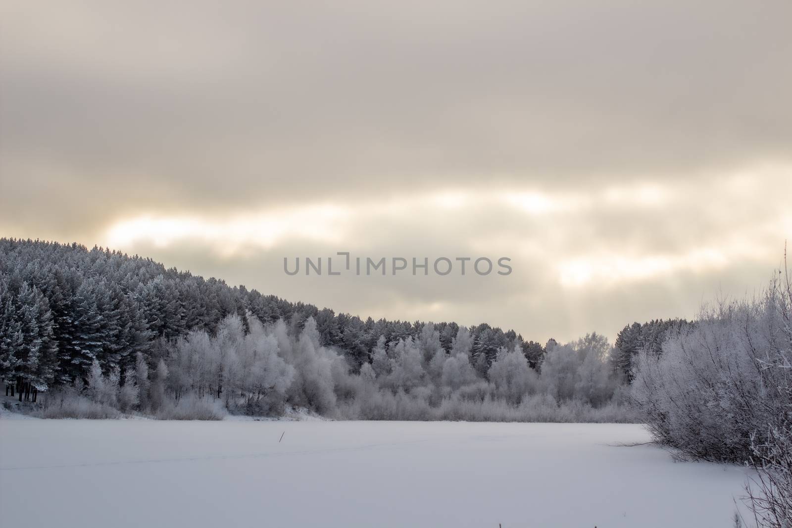 Dramatic sky with clouds over the winter forest and lake. Winter and frosty nature. Frozen lake near the forest, all covered in snow.