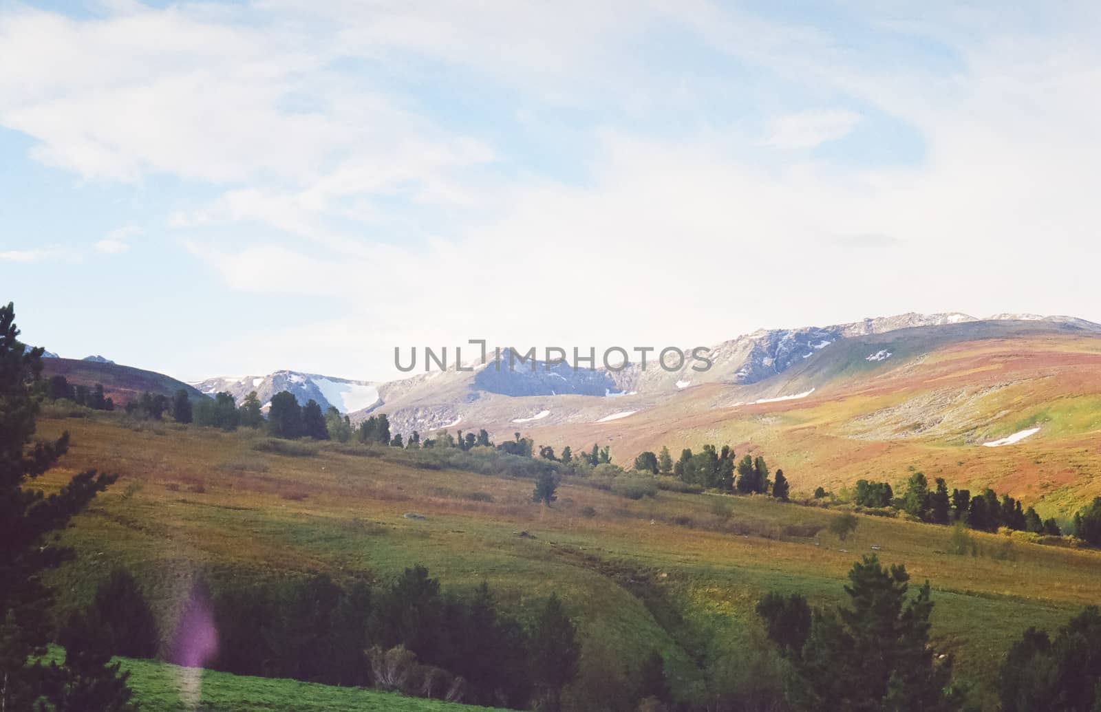 Autumn nature of the altai, forests and mountains.