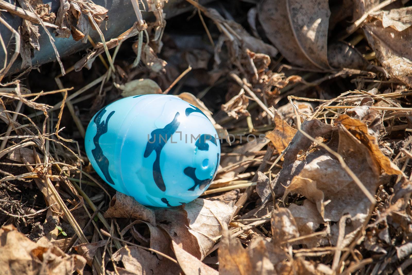 Bright blue camouflage Easter egg hidden in brown leaves by gena_wells
