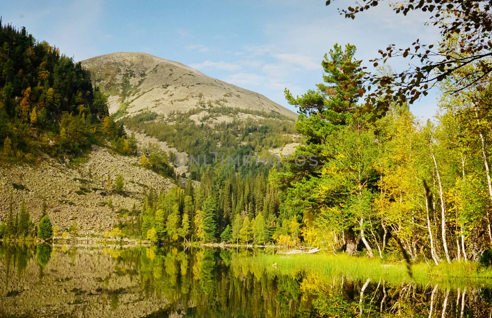 river is among the mountains and forests of the Altai. Nature of the Altai by DePo