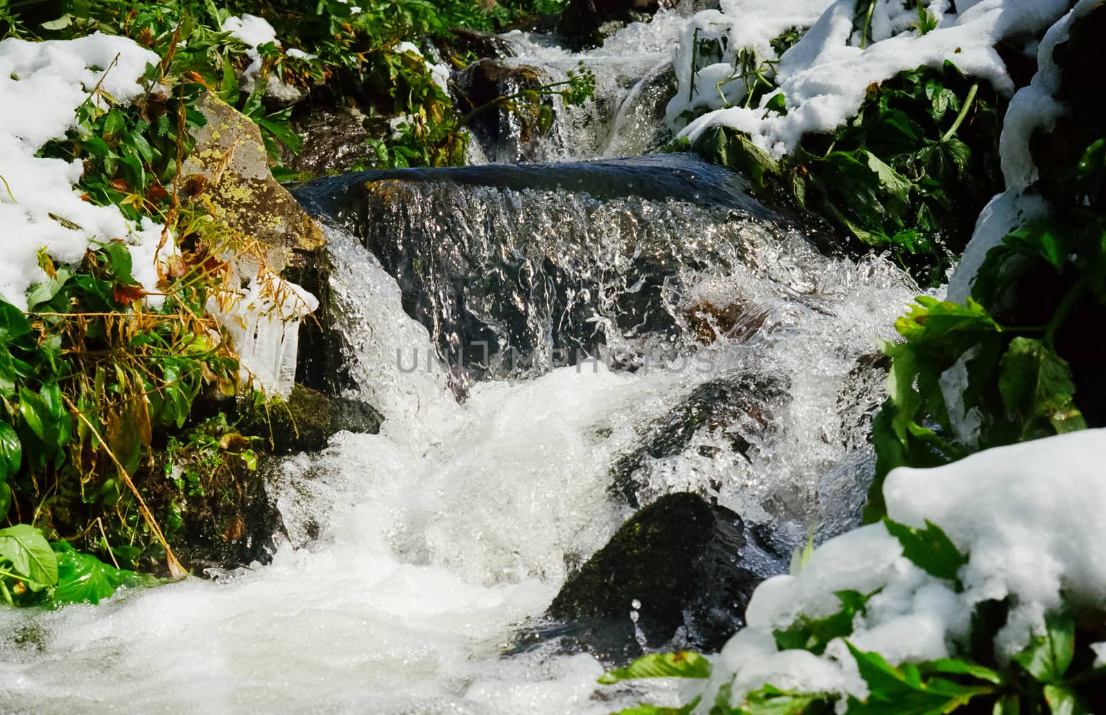 Waterfall on a mountain river in the Altai. The rivers are altai.