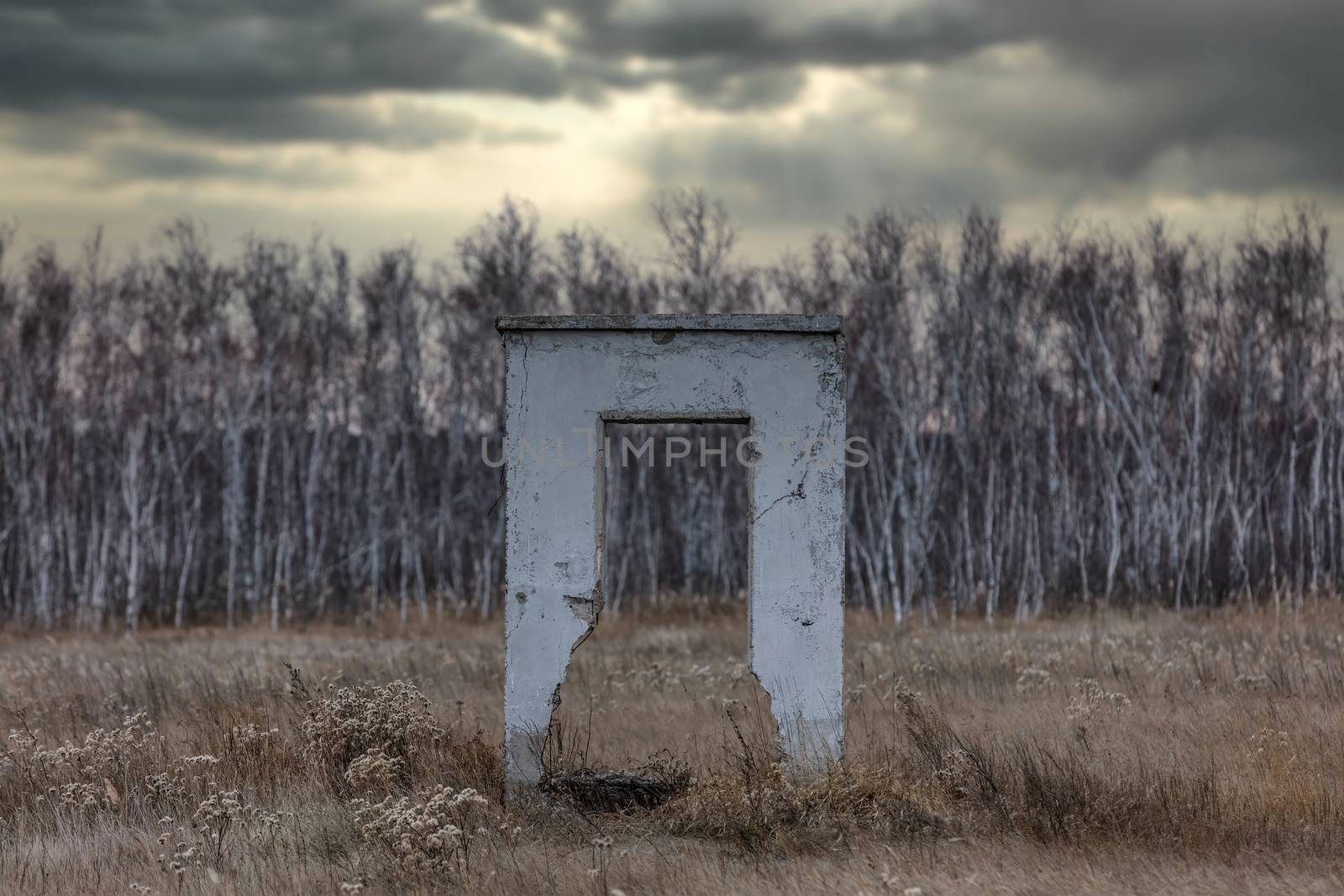 Old weathered brick entrance in an old stone wall which is now completely destroyed. Old late autumn forest and dark cloudy sky are blurred in the background. Country side. Altai Krai, Siberia, Russia by DamantisZ