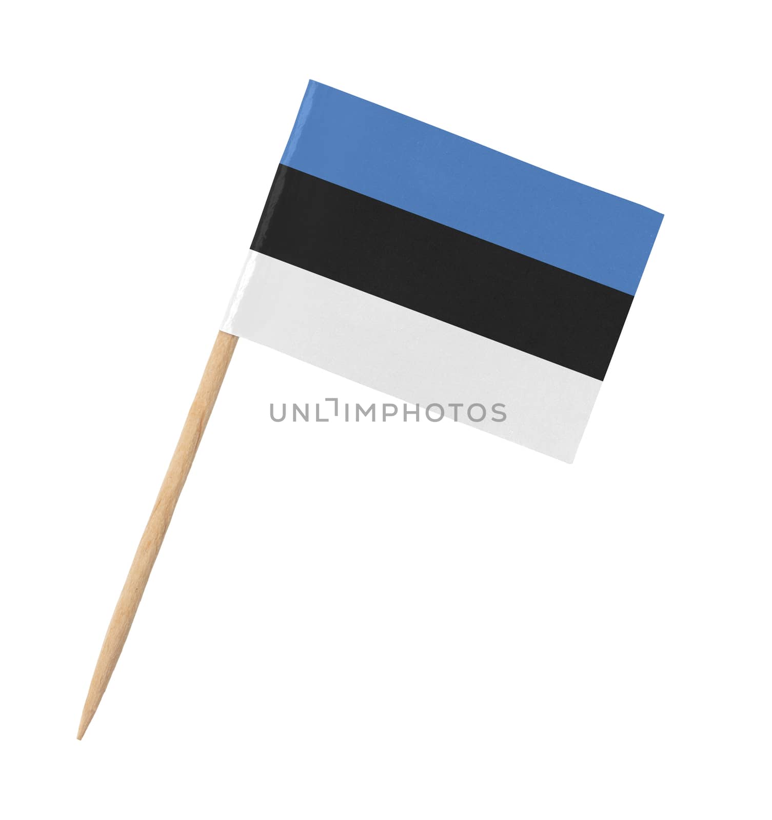 Small paper Estonian flag on wooden stick, isolated on white
