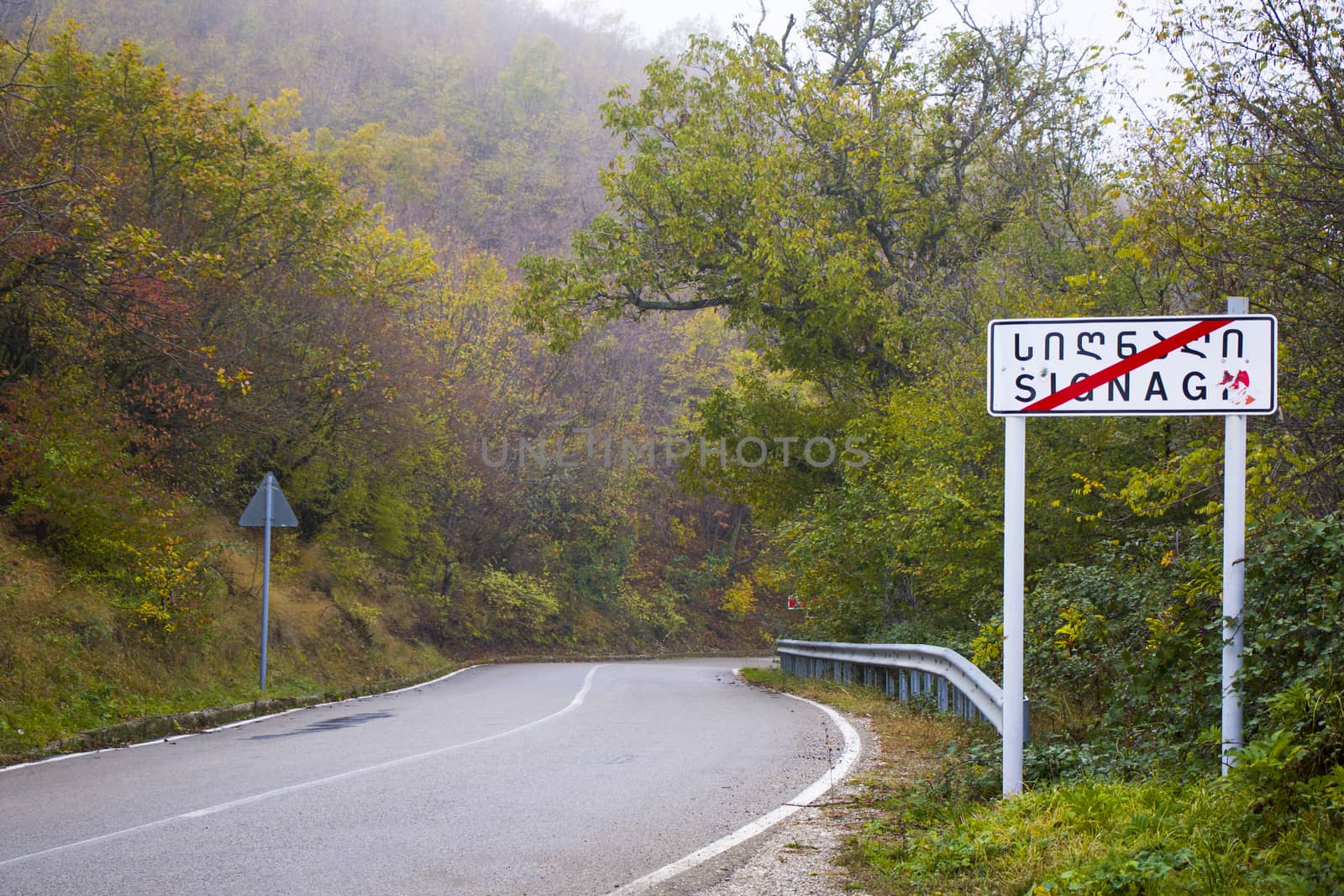 Sighnaghi highway sing close-up and autumn forest in Georgia