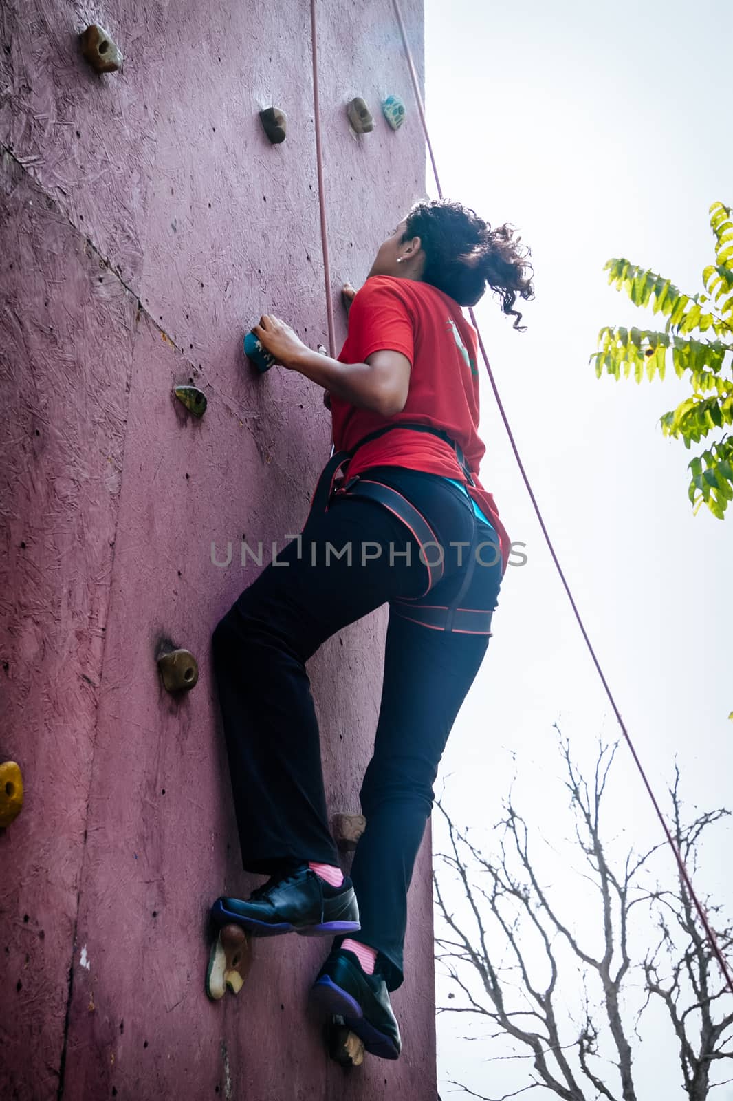 Athletic woman climbing indoors, view from the back