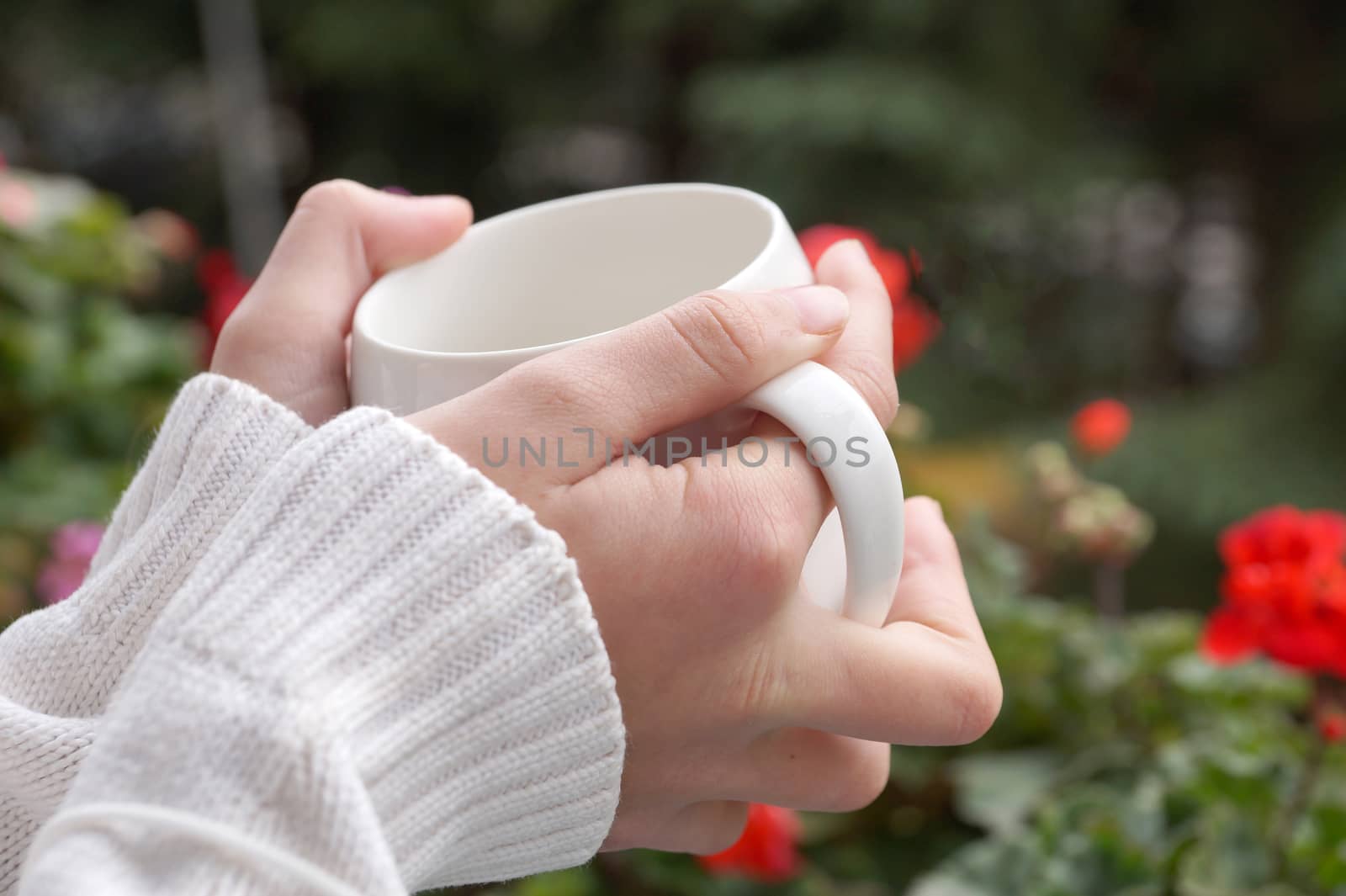 the girl's hands are warm from a hot cup close up