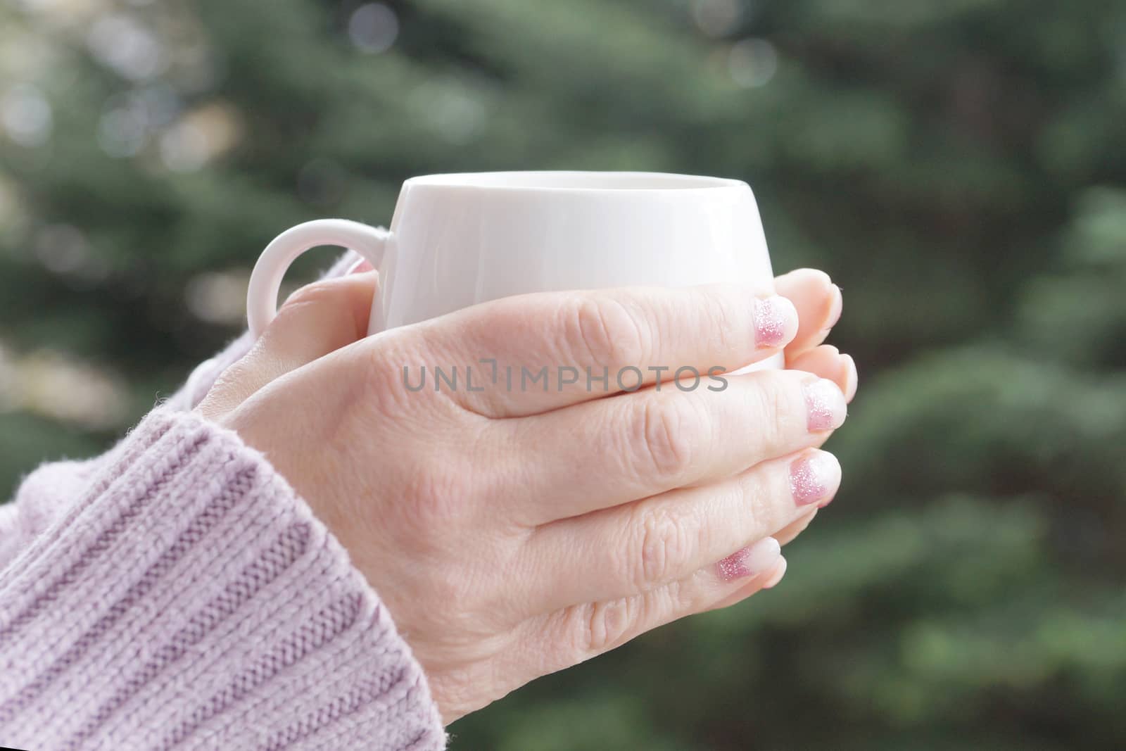 female hands in a warm sweater hold a hot cup on a nature background on sunny day