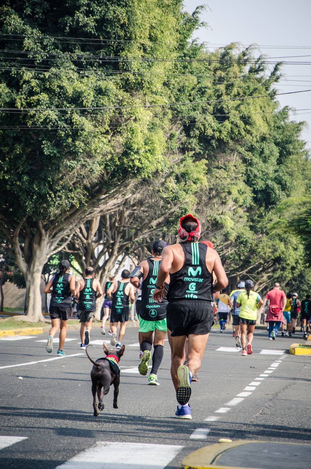 Lima, Peru - May 20th 2018: Marathon Lima 42k, sporting event that gathers athletes from all over the world. The athlete and his pet participate together in the marathon