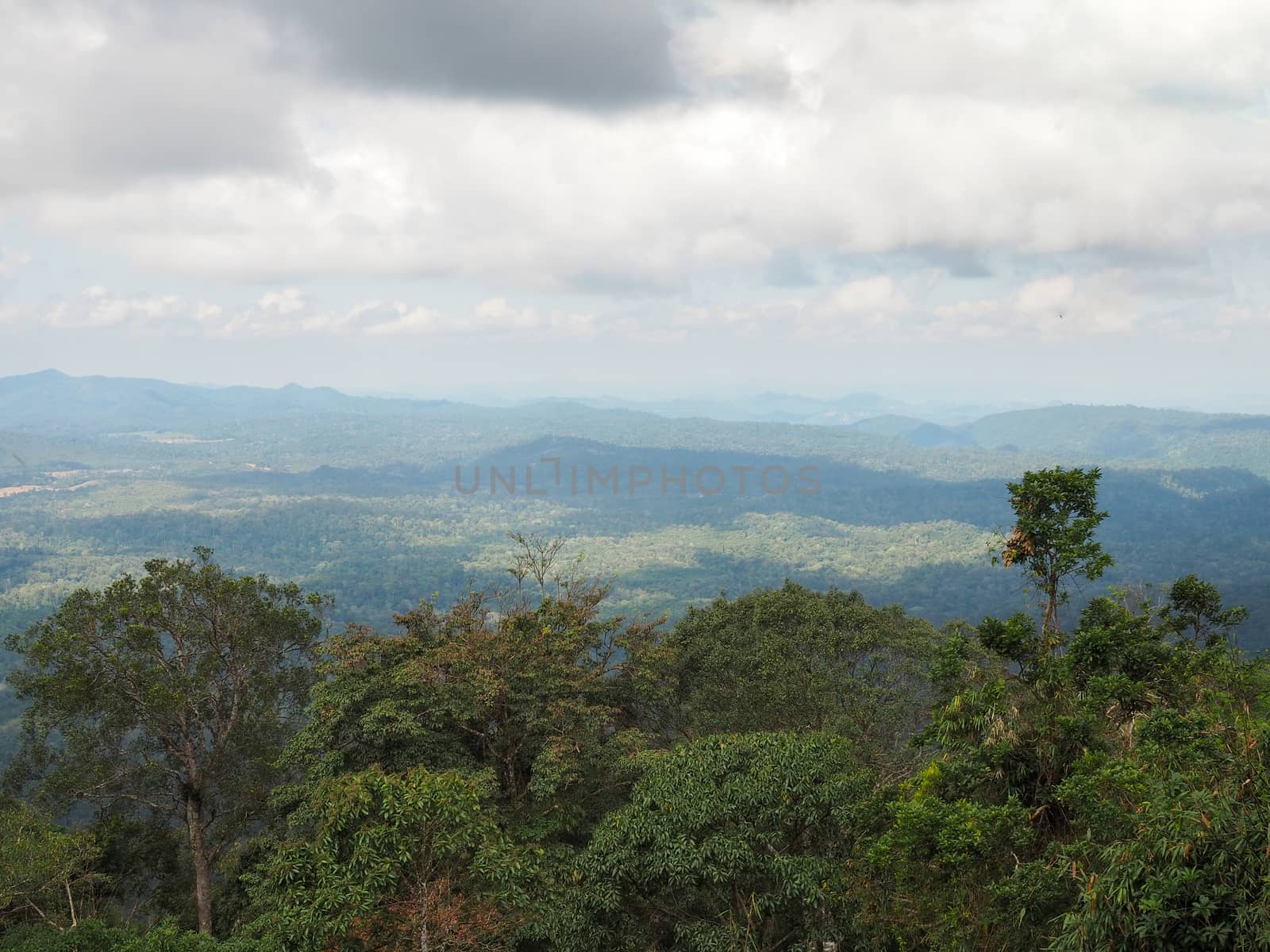 Green forest and mountains on the background of white sky and clouds