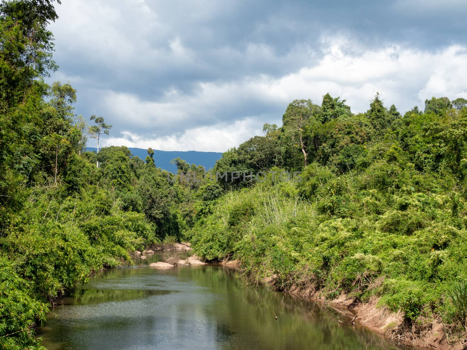 Green forest and river on the background of white sky and clouds by Unimages2527