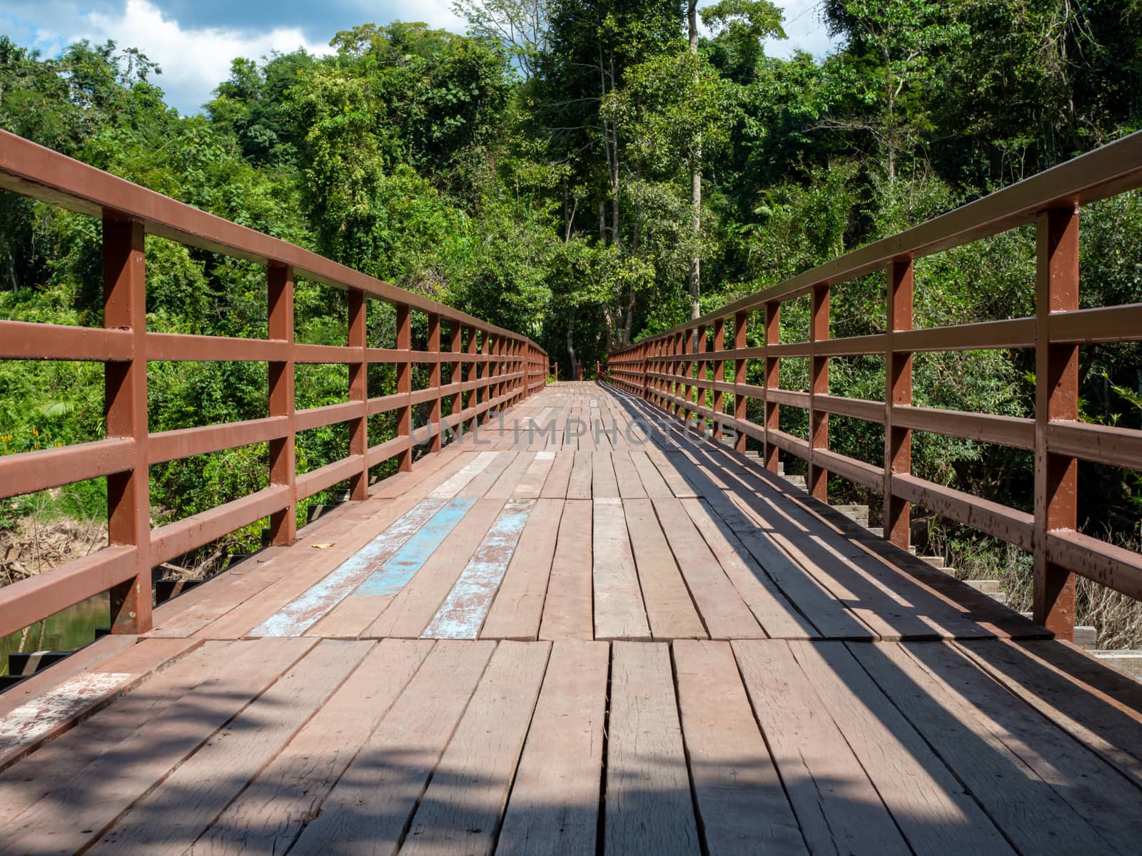 A long wooden bridge in the middle of the forest by Unimages2527