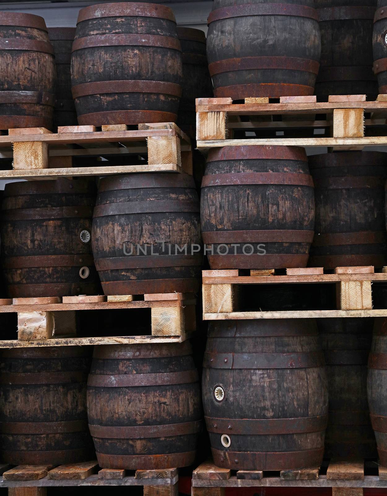 Rows of pallets with staked old grunge vintage dark oak wood barrels of craft beer at warehouse of brewery