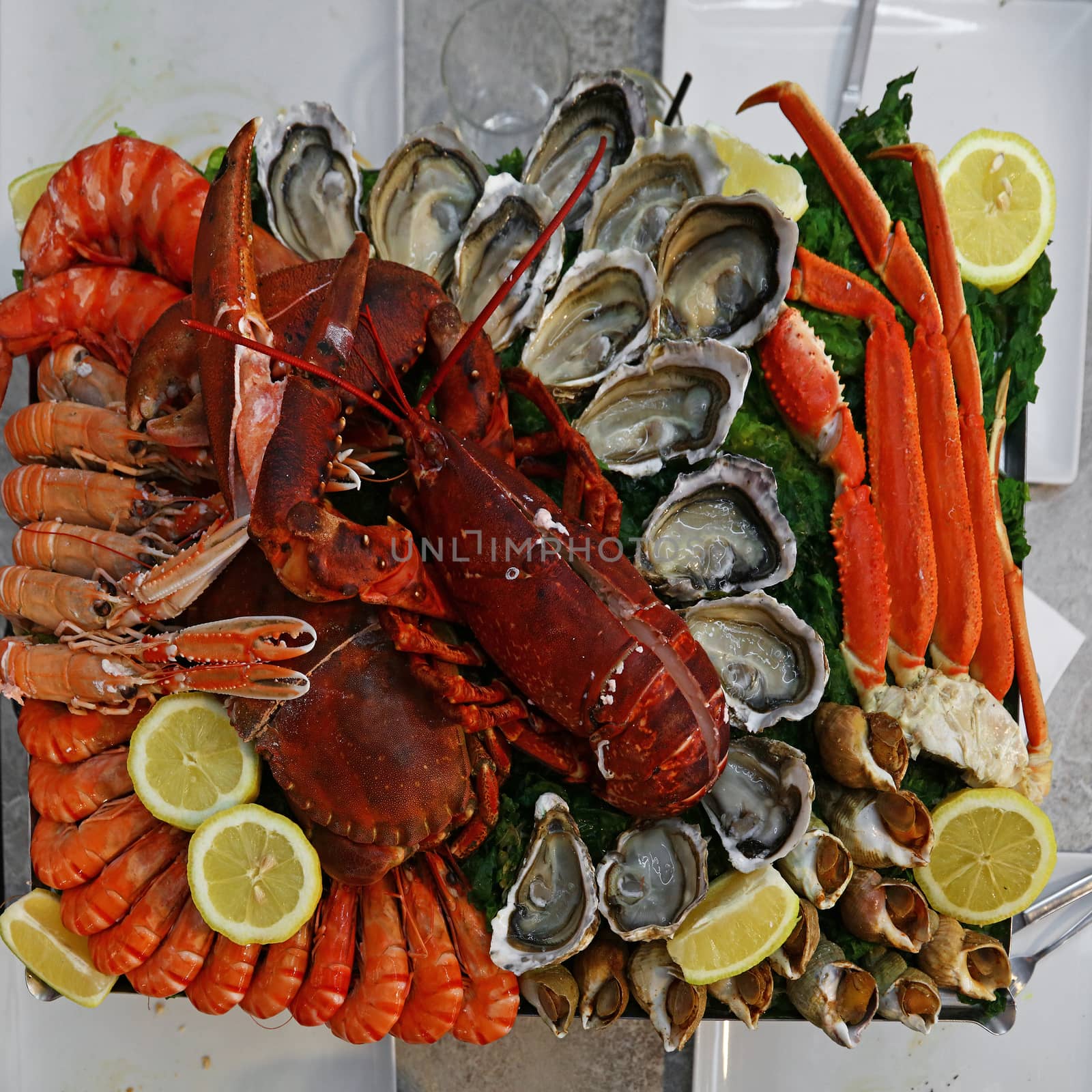 Close up large cold and raw seafood platter to share, lobsters, prawns, shrimps, oysters, clams, crabs and langoustines, high angle view