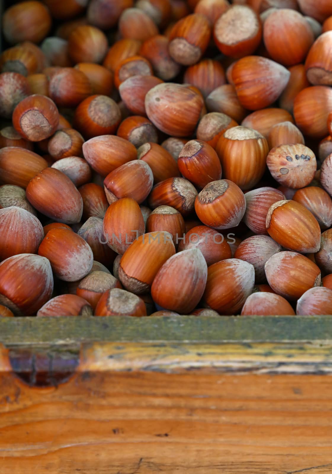 Whole big filbert hazelnuts close up background by BreakingTheWalls