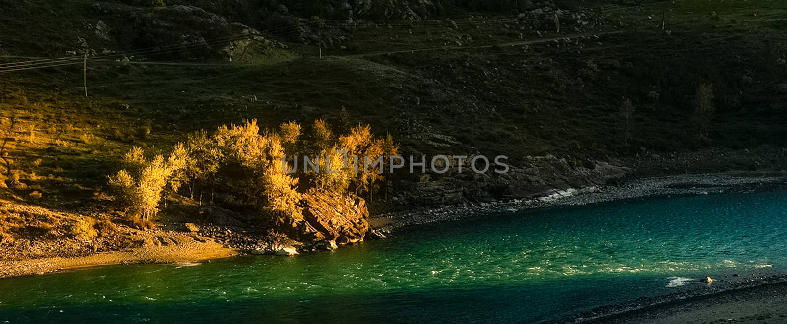 mountain river flows over the rocks. The rivers are altai. Nature is altai. by DePo